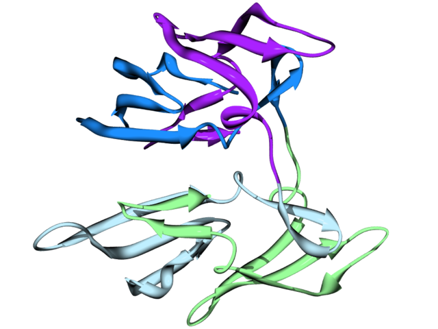 Thumbnail for version as of 17:04, 5 June 2010