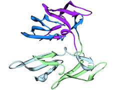 Thumbnail for version as of 02:31, 7 June 2010