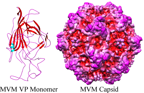 Thumbnail for version as of 21:51, 2 August 2010