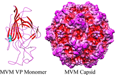 Thumbnail for version as of 21:53, 2 August 2010