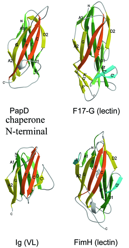 Thumbnail for version as of 09:08, 15 June 2010