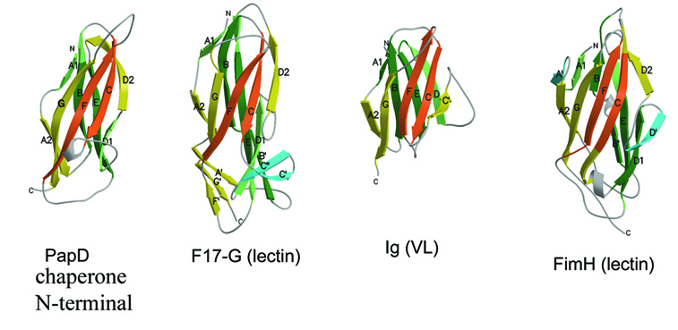 Thumbnail for version as of 21:44, 18 July 2010