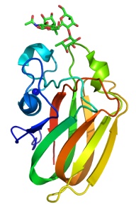 Thumbnail for version as of 21:55, 28 June 2010