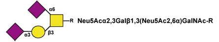 Sia3Gal3(Sia6)GalNAc small.png