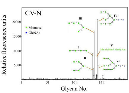 CVNglycan.png