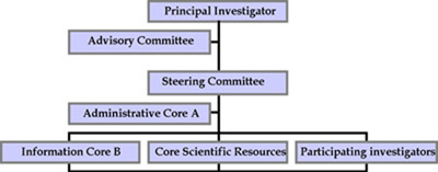 Management Structure